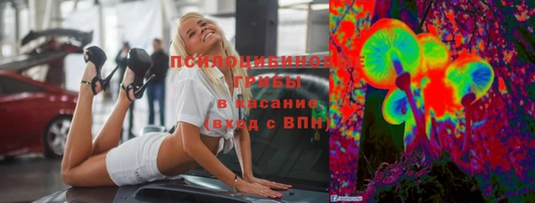 СК Балахна