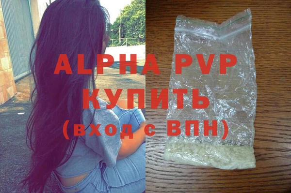 СК Балахна