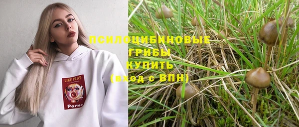 ГАЛЛЮЦИНОГЕННЫЕ ГРИБЫ Баксан