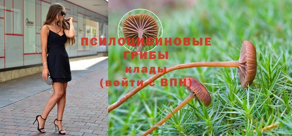 ГАЛЛЮЦИНОГЕННЫЕ ГРИБЫ Баксан