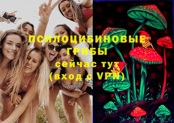 прущая мука Арсеньев
